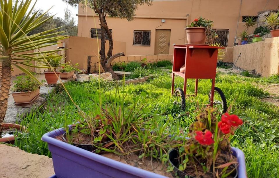 Emile Altwal Madaba Apartment Exterior photo